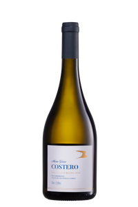 MARIO GEISSE COSTERO SAUVIGNON BLANC - 750 ml-Chile Valle do Colchagua