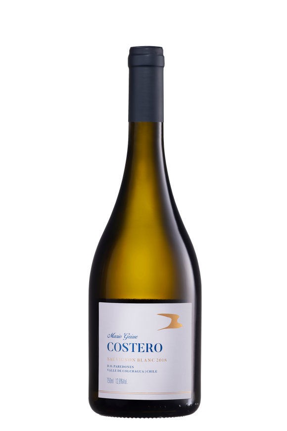 MARIO GEISSE COSTERO SAUVIGNON BLANC - 750 ml-Chile Valle do Colchagua