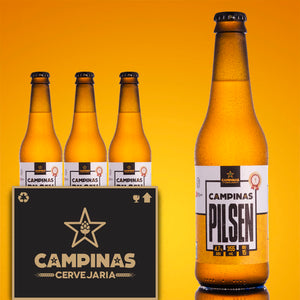 PACK COM 06 UN CAMPINAS PILSEN-355 ML